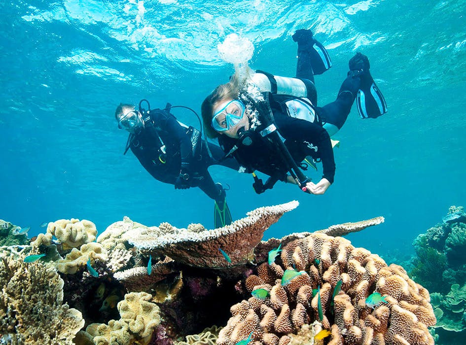 Marine Conservation Volunteer Program in Belize