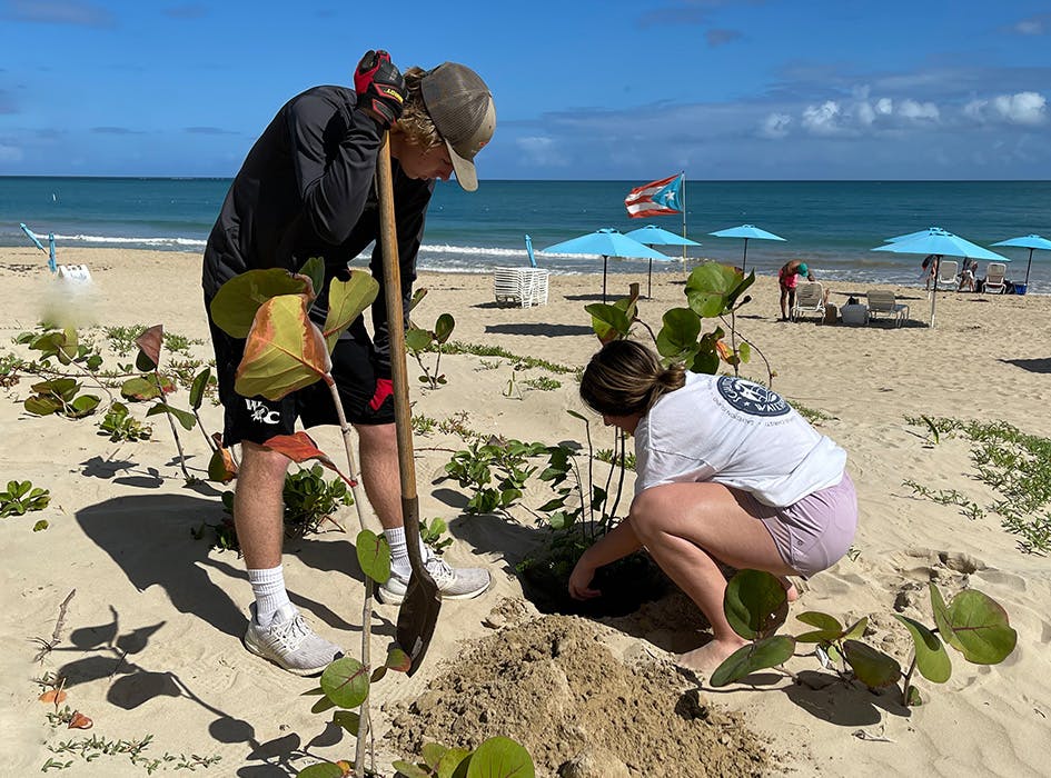 Environmental Sustainability Volunteer Project in Puerto Rico - San Juan